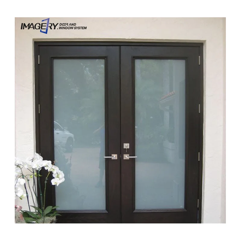 Imagery Customized Cheap Modern Style Exterior Aluminum Double Swing French Casement Doors for Home