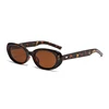 C3: Tortoise/ Brown
