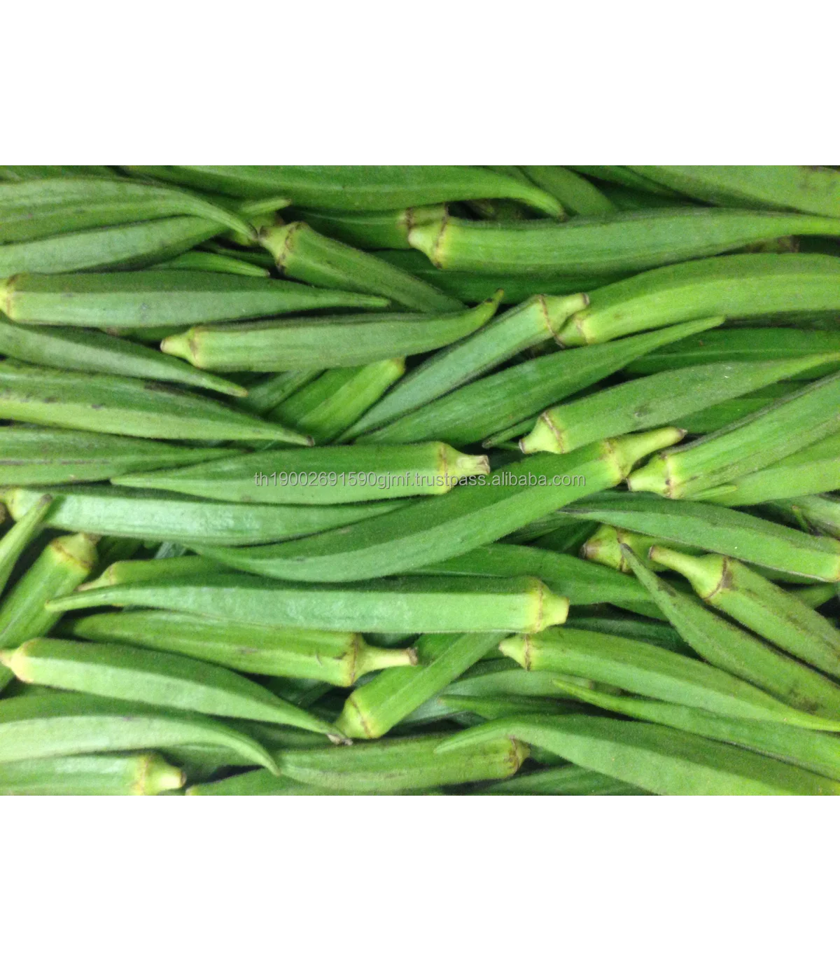 fresh-okra-bhindi.jpg