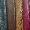 Customized Colors