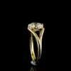 18kt Gold