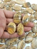 Brown, Sold by Weight(grams), 12 to 14pcs per 100g