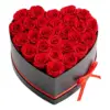 Red Color