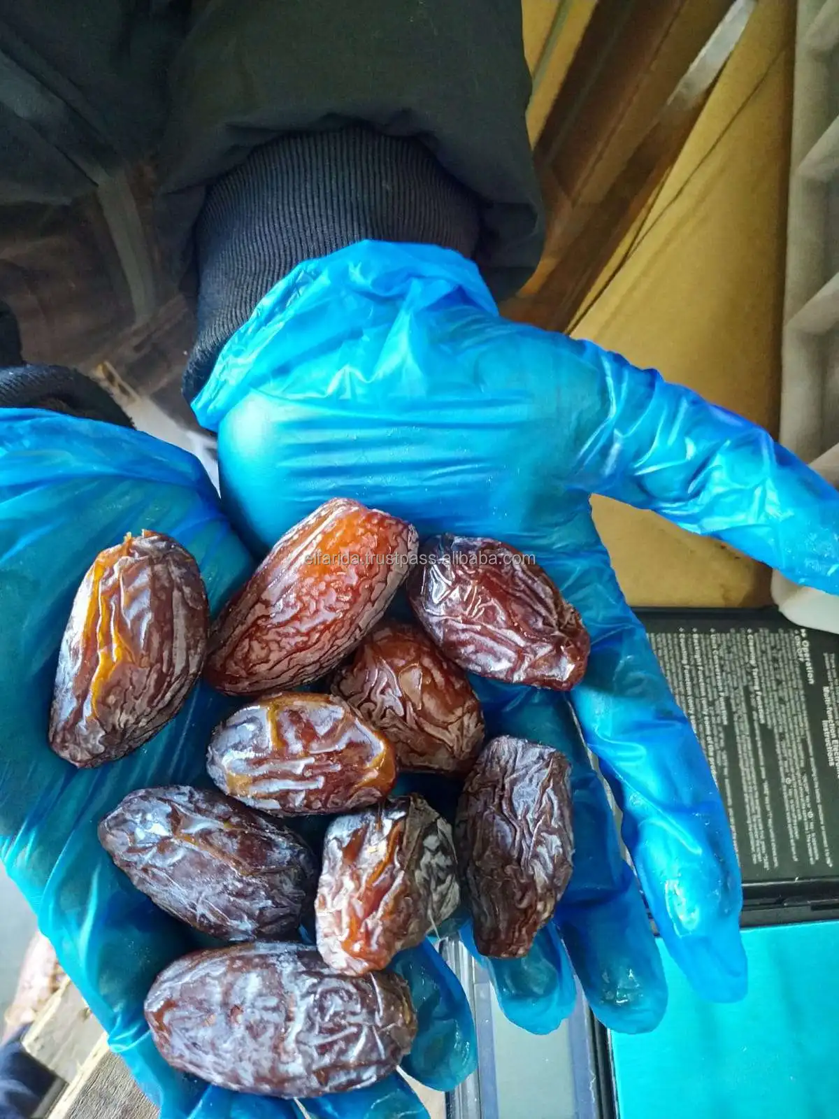 Standard Quality Top Selling Dried Fruit Bulk Quantity Fresh Dates