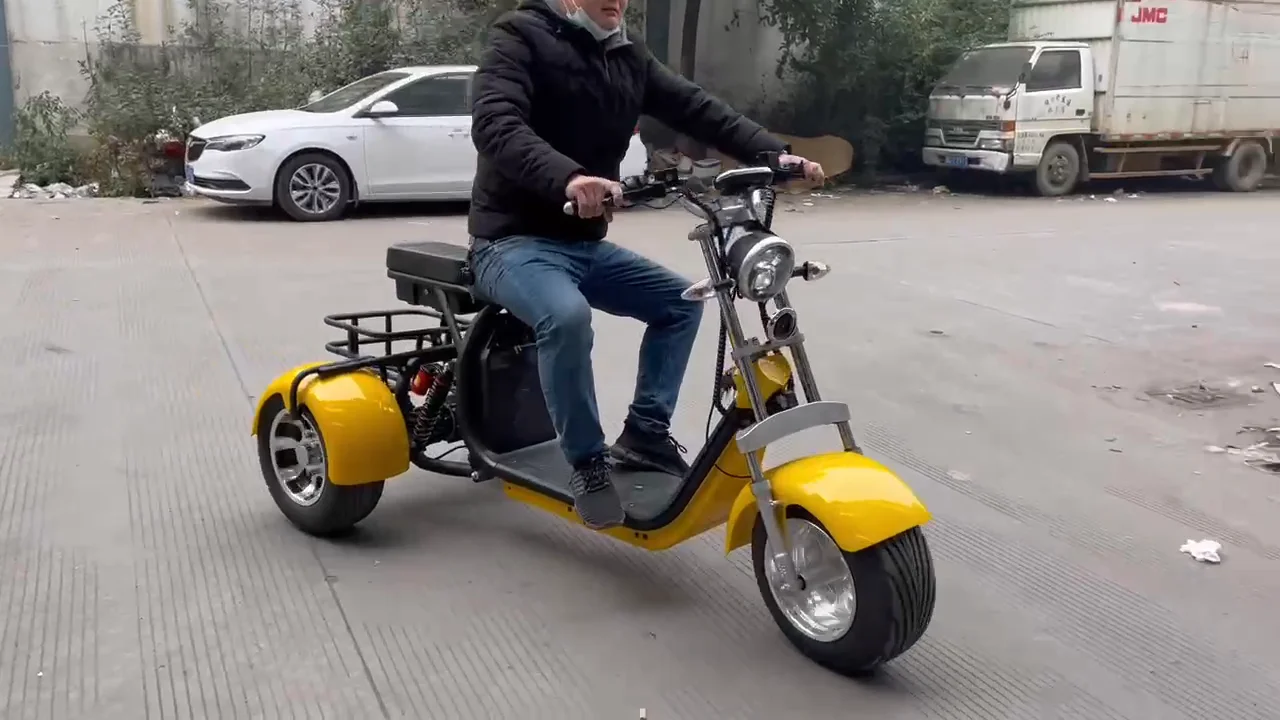 3 Wheel Electric Scooter Adult Electric Motorcycle Electric Tricycle ...