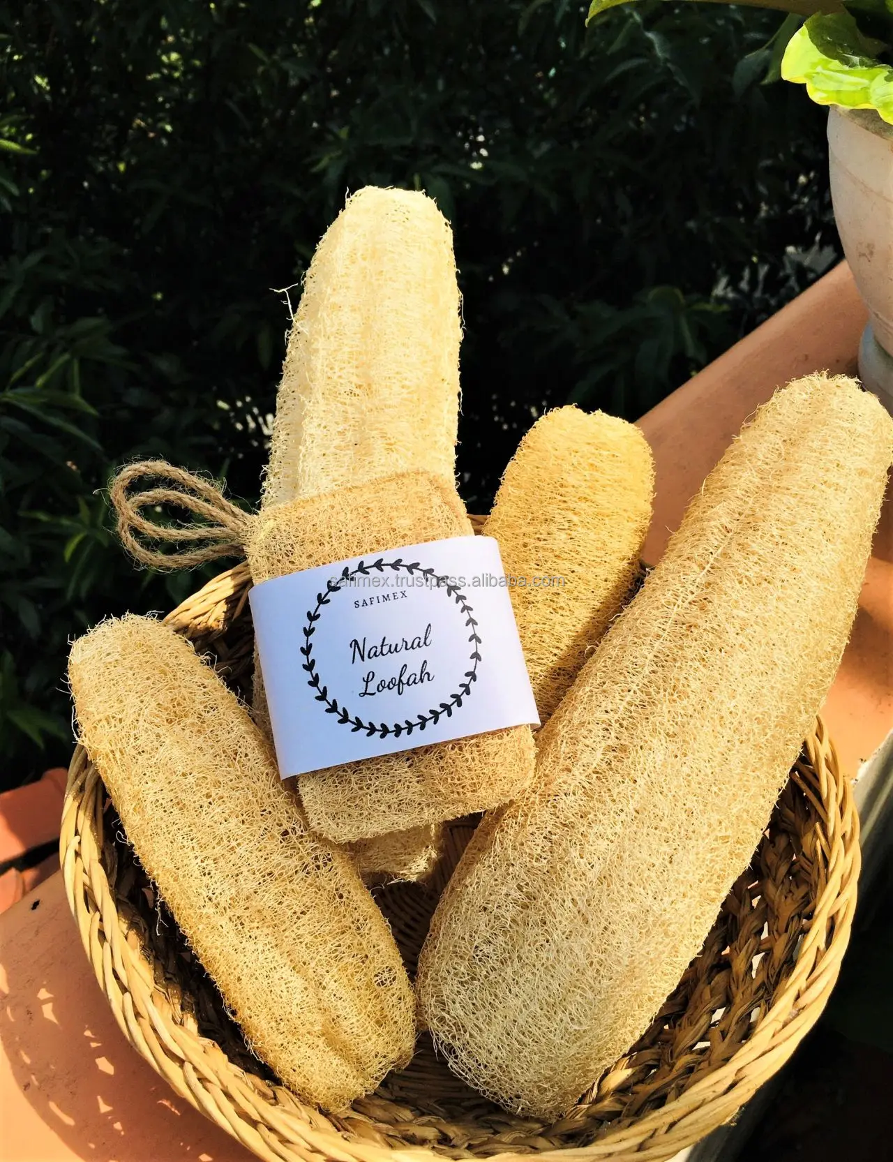 Whole Dried Loofah For Bath Exfoliate Skin From Vietnam / Luffa Sponge
