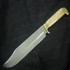 Bowie-1