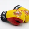 spain flag