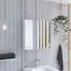 as Pic Color