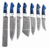 Damascus Steel & Blue Wood