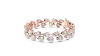 As per the Images