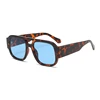 C6: Tortoise/ Blue