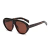C3: Tortoise/ Brown