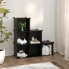 Black Color