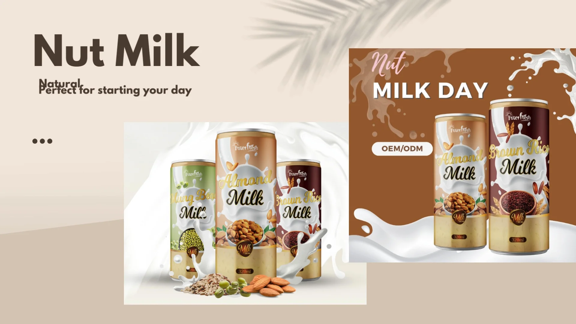 Instant Canned Almond Milk Drink Dairy High Premium Milk Drink From