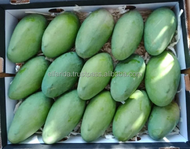 100 Natural Delicious Taste Top Quality Wholesale Egyptian Fresh Fruit