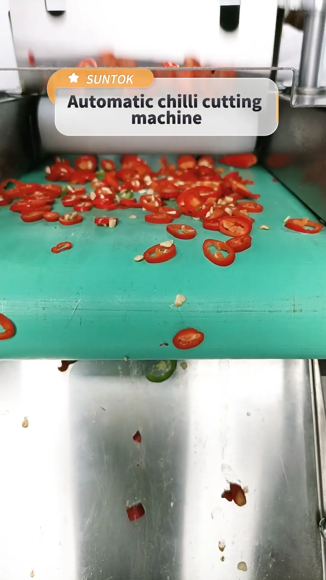 Electric Electric Okra Chili Jalapeno Peppers French Green String Beans