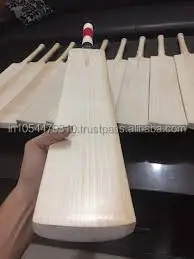 ENGLISH WILLOW BAT 6.jpg