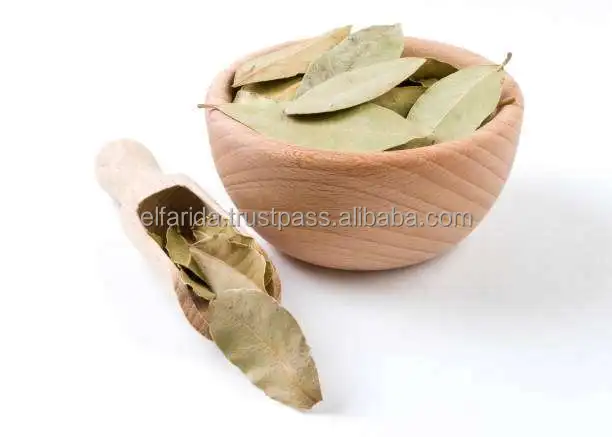 High Quality Premium Grade Single Spices Products Dried Bay Laura Leaf/ Bay Leaves from Egypt Origin Exporter and Supplier
