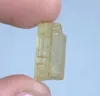 Púrpura