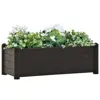 Anthracite Color