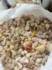 Mixto