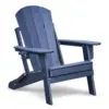 Navy Blue Color
