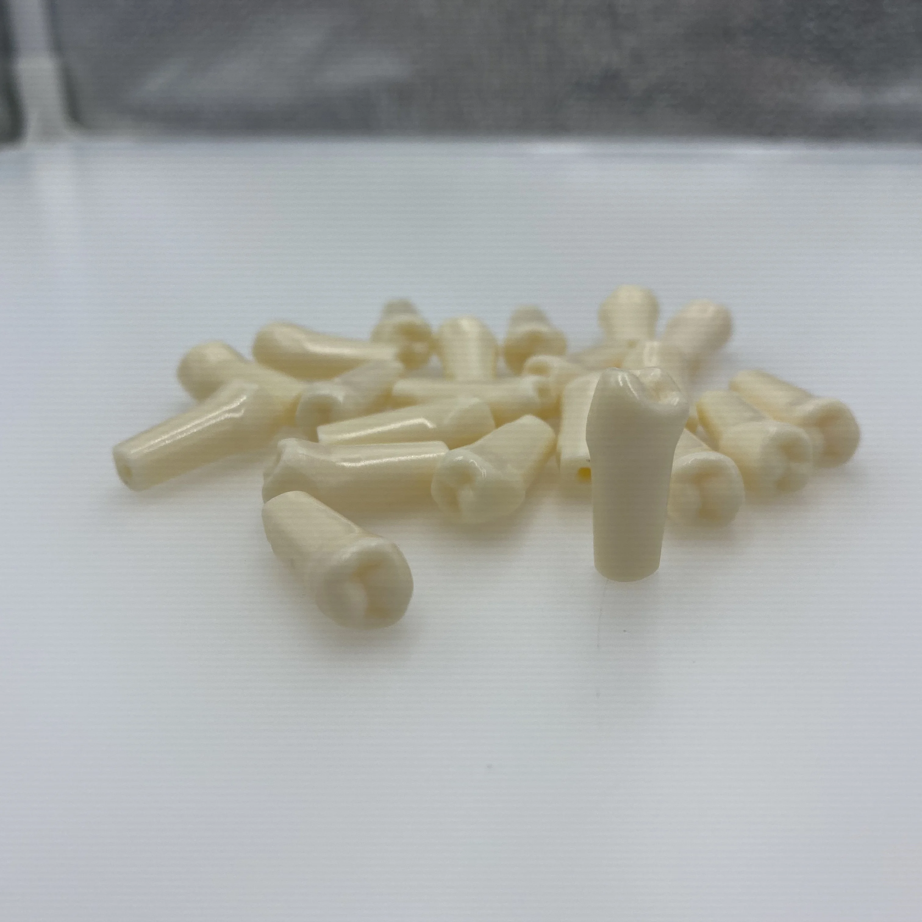 Nissin Type Typodont Resin Teeth Replacement for Dentist Oral Teaching Model