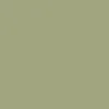 สีเขียวมะกอก