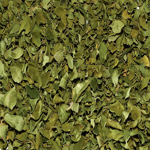 
 Indian Moringa Leaves  