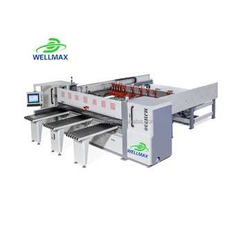 Wellmax CNC Sliding Table Saw for Wood  Panel Saw Machine Wood Cutting Automatic Panel Saw Machine