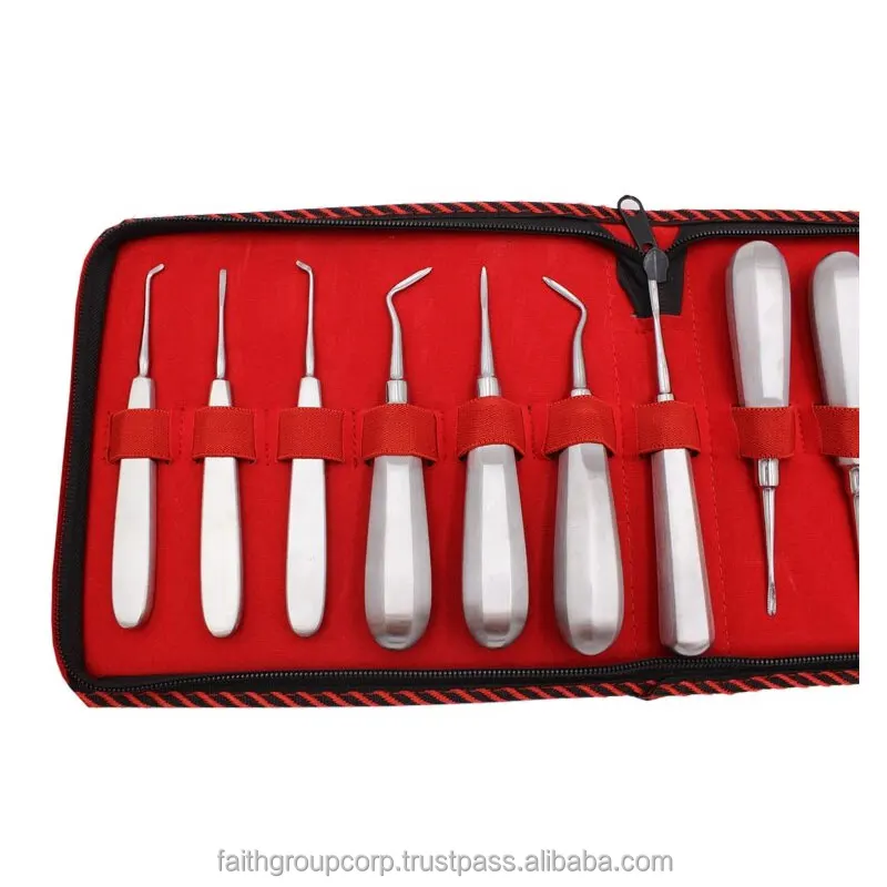 Stainless Steel Curved Root Lift Elevator 13 Pcs Set Dental Elevator