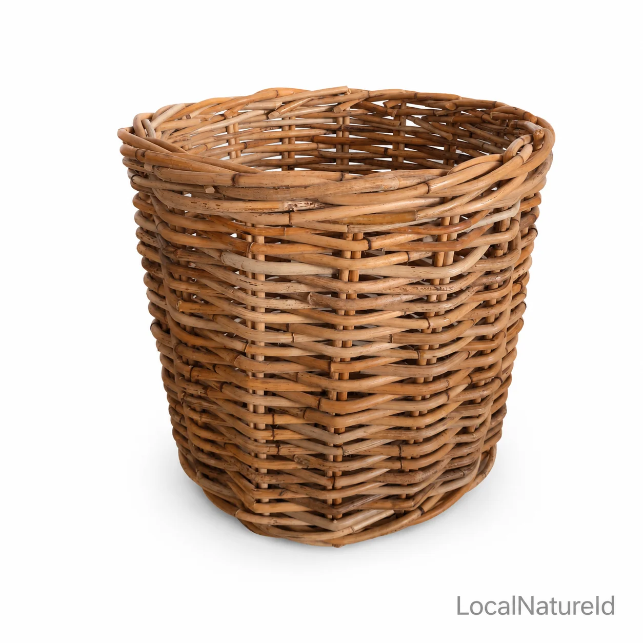 ChatGPT Image Jul 15, 2026, 04_02_57 PM.png