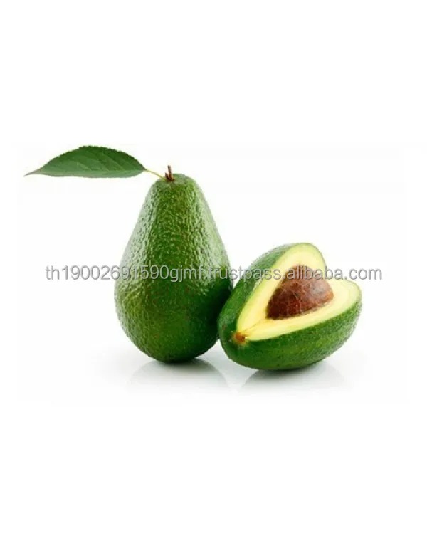 avocado.jpg