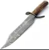 Natural Earthy Brown Antler