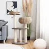Beige Color