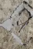 Plata
