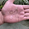 clear
