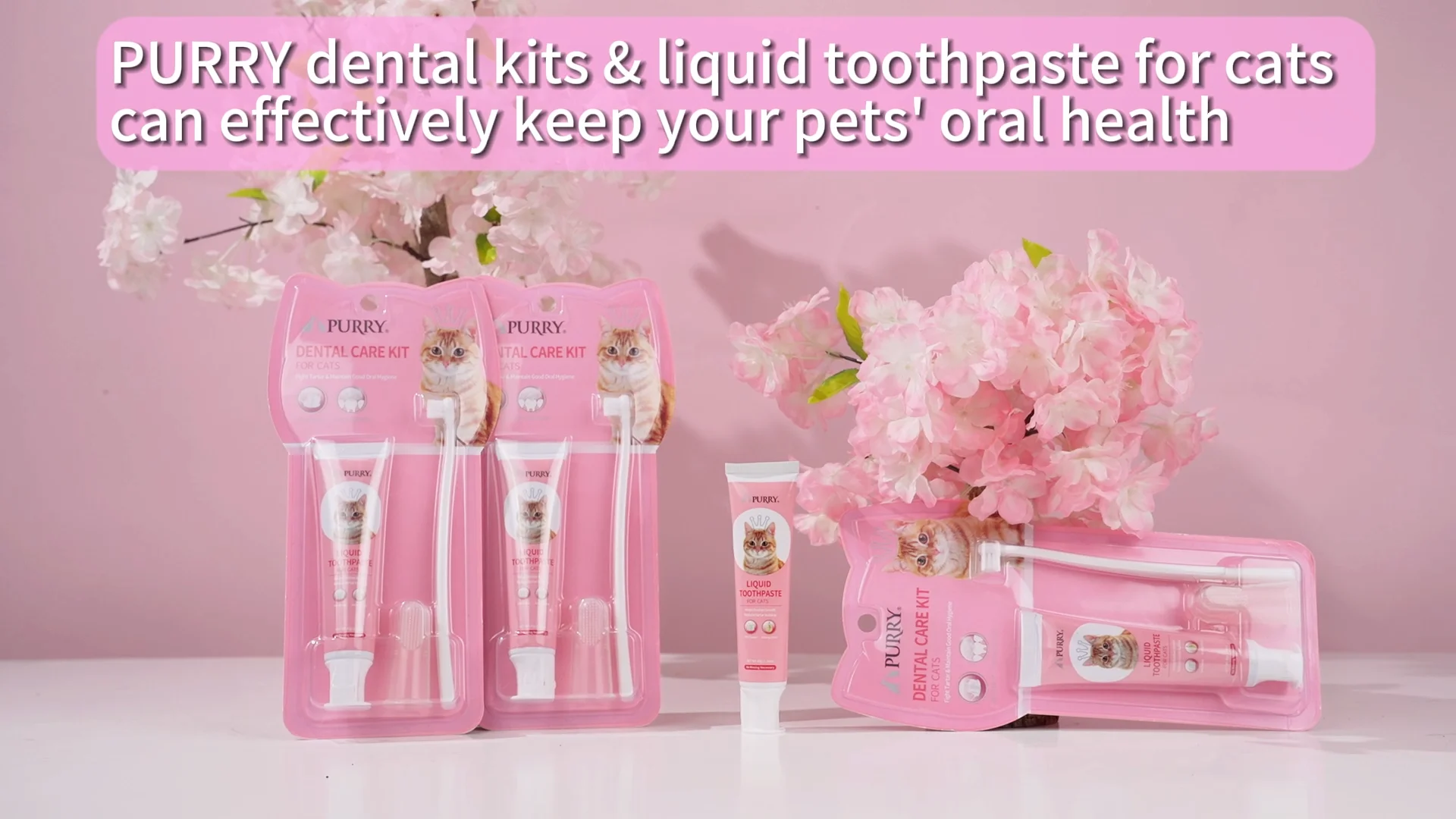 Cat Dental Brush Kit Buy Cat Oral Care,Cat Toothbrush,Cat Toothpaste