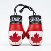 Canada flag
