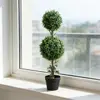 Green Color