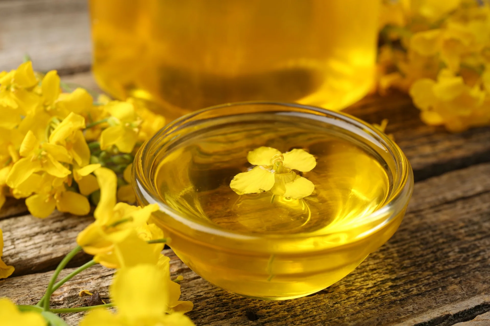 Wholesale Cheap Supplier Hot Selling High Quality 100% Purity Organic ISO Certified Canola Oil Bulk Fast Delivery Buy Now! Top