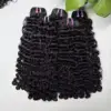 burmese curly