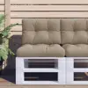 Taupe Color