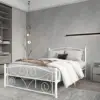 White Color