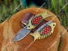 Rainbow Wood