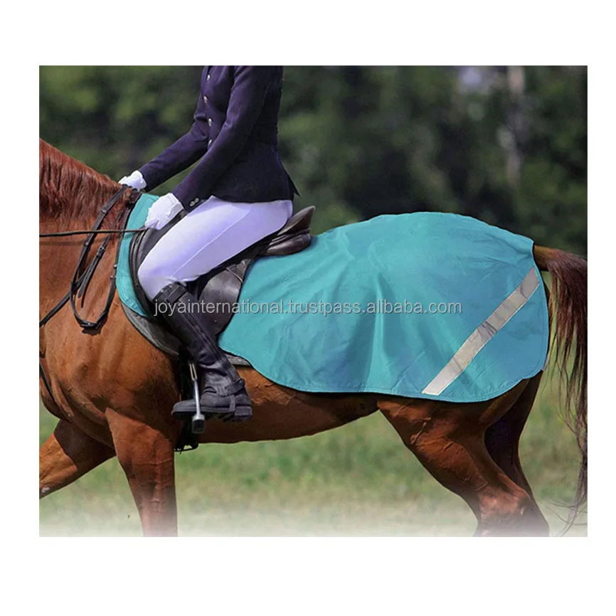Seasonal Turnout Horse Exercise Sheet Blanket Ripstop 6001680 Denier