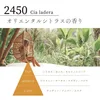 2450 Cia Ladera