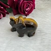 Elefante Ojo de Tigre