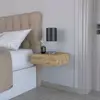 Macadamia Color